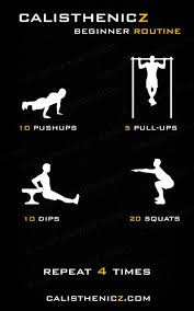 With the help of madbarz, we've put together the ultimate beginner calisthenics workout plan you can start immediately: Calisthenicz Beginner Workout Calisthenicz Calisthenics Fur Anfanger Calisthenics Workout Routine Gymnastik Trainingsplan