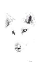 The Wonderful World Of Pritty Things Sketches Animal Drawings Beautiful Art