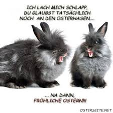 Roombeez » verschickt süße und lustige ostergrüße ✓ die schönsten ostergrüße als text basteln zu ostern. Osterbilder Ostern Bilder Ostern Lustig Osterbilder