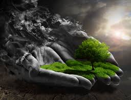 Maybe you would like to learn more about one of these? Mother Nature Wallpapers Top Free Mother Nature Backgrounds Wallpaperaccess