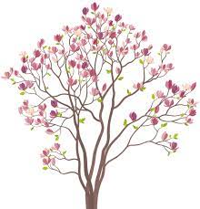 Mmagnolia Tree Png Clip Art Image Tree Drawing Simple Art Images Free Clip Art