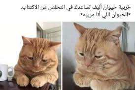 تصوير الطبيعة اقتباسات جدارية سناب شات تصوير الشارع خط عربي فن رقمي arabic funny jokes نكت funny photo memes funny qoutes cute memes