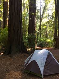 A camping trip to the redwood national forest on the california coast is more than just a tourist stop. Camping In Redwoods Np The Jedediah Smith Campground Park Chasers