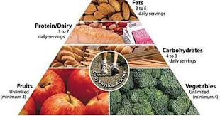 Pin On Metabolic Surgery