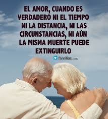 Pin En Yo Amo A La Vida