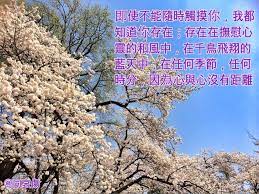 即使不能隨時觸摸你 我都知道你存在