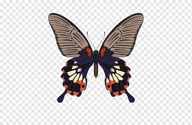 This simple and nice butterfly vector can be used as papilio memnon butterfly vector can be downloaded in the following file formats: Butterfly Papilio Memnon Papilio Palinurus Insect Scarlet Mormon Butterfly Brush Footed Butterfly Insects Moth Png Pngwing