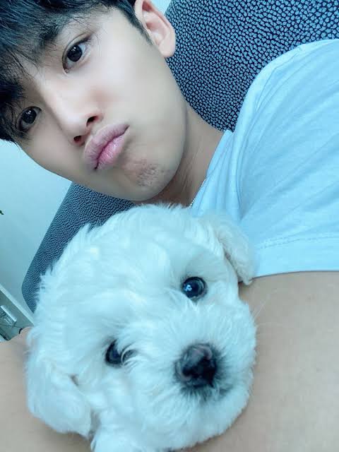 images?q=tbn:ANd9GcQgKyzzOKwaLISbFSX0qde_3MJwQ1BMQWnANA&usqp=CAU