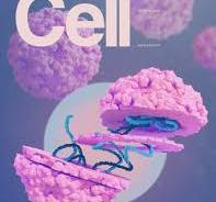 Leonie Herson - Cell Cover Design