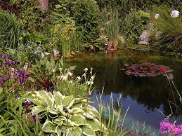 Gartenteich Gartenteich Biotop Seerosen Libellen Iris Hobbygarten Com Kathrin Gartenteich Garten Wasserspiel Garten