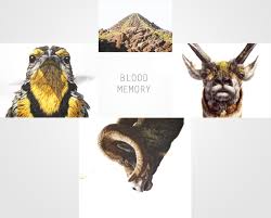 Cat breeds vary by origin, size, and coat types. George Boorujy Talks To Biblioklept About Painting Animals And People His New Show Blood Memory And Throwing Bottled Drawings Into New York Waterways Biblioklept