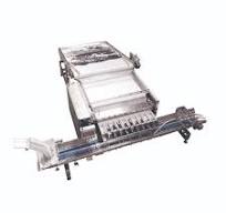 BLUEBERRY INTELLIGENT SORTING MACHINE - Automatic Packing