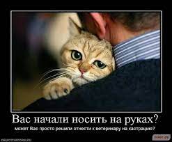 Каких женщин всю жизнь мужчины носят на руках?