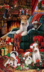 Wire Fox Terrier Christmas Greetings Cane Natale Foto Di Natale Fotografia Di Natale