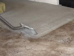 Carpet cleaning east bend, nc. New Orleans Carpet Cleaning Carpet Cleaner 504 684 4394