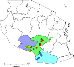 Image result for Urochloa bovonei