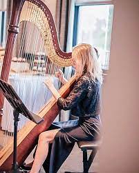 Beautiful And Elegant Wedding Music Wedding Harpist Wedding Dinner Music Music Themed Wedding Wedding Music