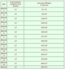 Ball Python Weight Growth