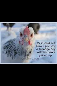Cold Weather Funny Quotes Quotesgram