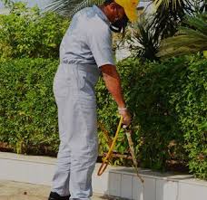 شركة تراب لمكافحة الحشرات00201016261727 شركة المثالي Pantsuit Best Home