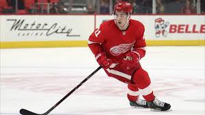 15 points in 28 games was a huge success for both zadina and. Filip Zadina Out Of Red Wings Lineup With Lower Body Injury
