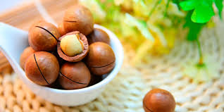 NUEZ DE MACADAMIA