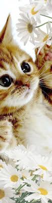 Cute Baby Animals Wallpaper Download Their How To Draw Easy Cute Animals Step By Step Cute Baby Animals Cute Animals Cats And Kittens