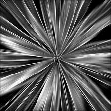 Radiation Principals Of Design Principles Of Design Elements Of Design