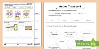The carrier proteins that transport molecules by primary active transport are always coupled with atpase. Active Transport Worksheet Pdf Resources Biology