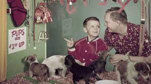 Dog puppies pet shop near me. Why Are Pets Disappearing From Pet Stores Howstuffworks