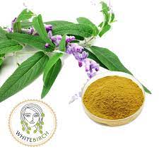 Ekstrak Bubuk Makanan Sage Kerutan Salvia Officinalis Super Buy Sage Leaf Extract Sage Extract Sage Product On Alibaba Com