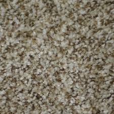 It used a diacid chloride similar to the one discussed above. Lowe S For Stainmaster Documentary 8 X 10 Houdini Indoor Solid Global Area Rug In Brown 5335 1148b Accuweather Shop