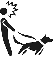Compare prices of hotels in newington on kayak now. Mobile Grooming Cheshire Newington Ct Dog Spa Groomer