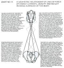 Polarity Therapy Volume 1 Book 2 Chart 13