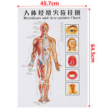 7pcs Set Acupuncture Massage Point Map Chinese English