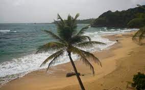 Schwarze durften keine parks betreten und mussten in schulen nur für schwarze gehen. Dominica Strande