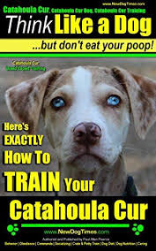 If you are interested in volunteering, fostering, or adopting please email. Pin On Dog Training