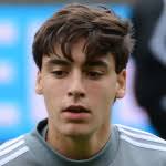 Tyler Freeman stats and ratings