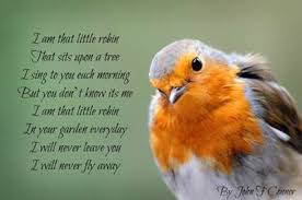 Birds Chirping In The Morning Quotes Pin Van Saranne Hulley Op Quotes And Poems Roodborstjes Roodborstje Dieren