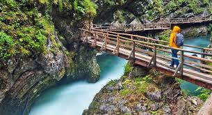 Lake Bled And Its Island Bled Castle And Bled Cream Cake Make Your Wishes Come True By Enjoying A Perfect Experience Slovenia Travel Bled Slovenia Slovenia