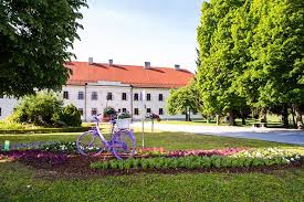 Slavonski brod is a city in continental croatia located along the left coast of river sava. Our Formula For Success Is New Projects And Including The Citizens Of Slavonski Brod In The Creation Of The City Budget