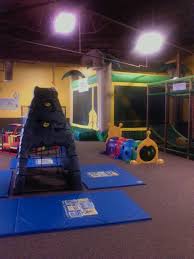 Little Monkey Bizness Wheaton Il Chicago Fun Little Monkeys Fun Things To Do