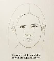 Drawing proportions correctly is a slow and meticulous process, especially if you are a beginner artist. 5 Proportions Of The Face To Know