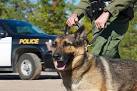 The 6 best police dog breeds in service - SitStay