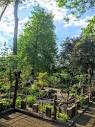 Botanical Garden - Picture of Botanisches Garten / Miejski Ogrod ...