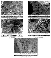 Lot c10, block c, lorong cyber square 2, cyber square, jalan lintas, kepayan, 88200 kota kinabalu, malaysia. Agriculture Free Full Text Assessing The Increase In Soil Moisture Storage Capacity And Nutrient Enhancement Of Different Organic Amendments In Paddy Soil Html