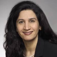 Elham Azizi, Assistant Professor of Cancer Data Research in the Irving…