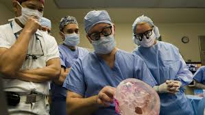 A face transplant is a medical procedure to replace all or part of a person's face using tissue from a donor. Connie Culp First U S Recipient Of Partial Face Transplant Dead At 57 Ctv News