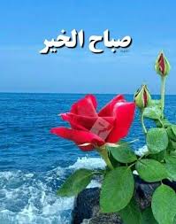صباح الخير صباح الأشياء الجميله صباح الإيمان الذي ي زيل الألم صباح راحة البال التي نطلبها good morning arabic morning pictures good morning images