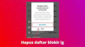 Musdeoranje Net Cara Menghapus Daftar Blokir Di Instagram Dengan Mudah Instagram Penghapus Teman